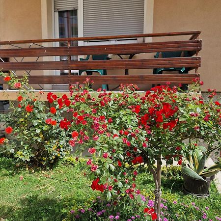 Guesthouse Irac Tuzla Luaran gambar